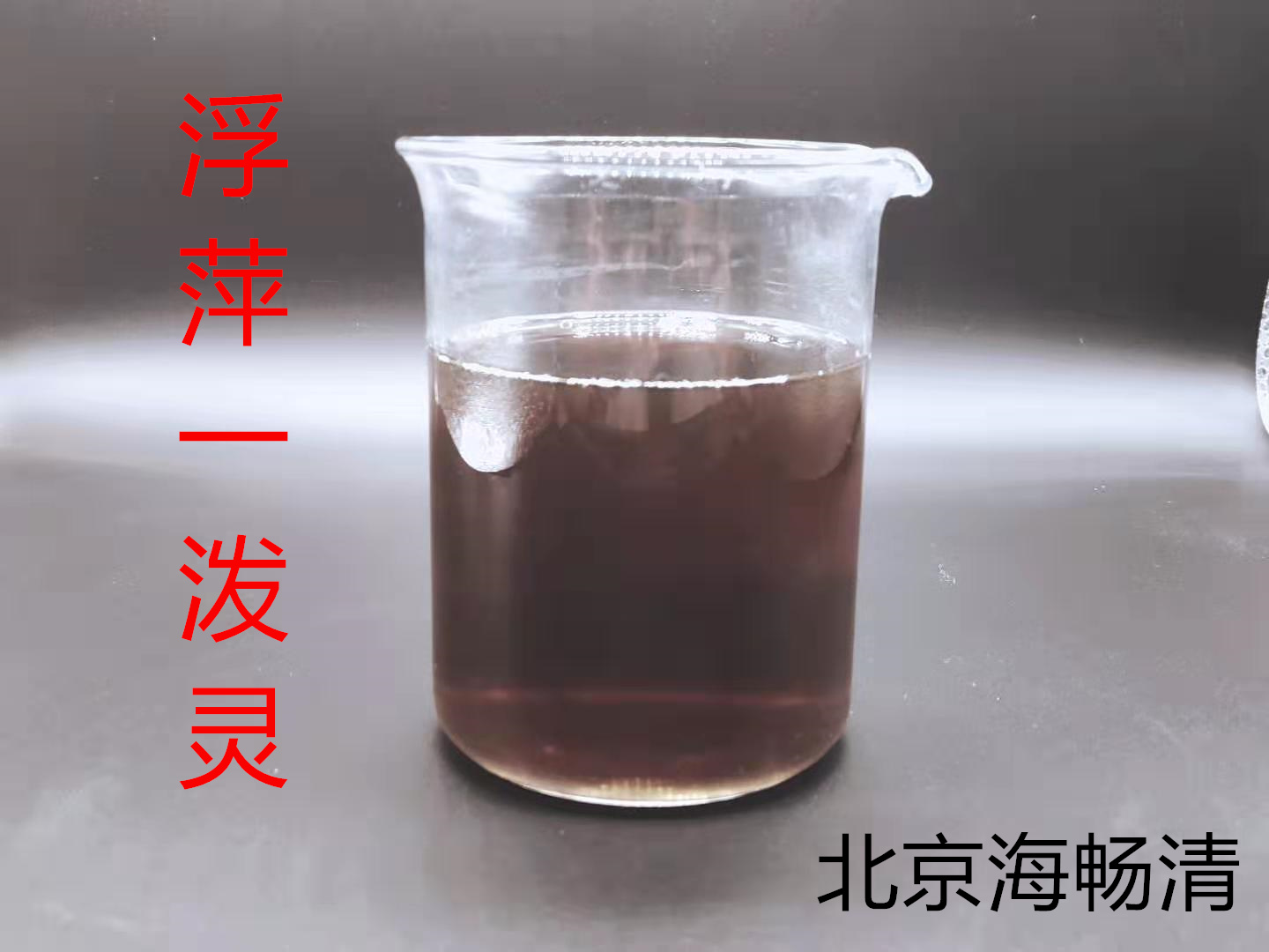浮萍一潑靈