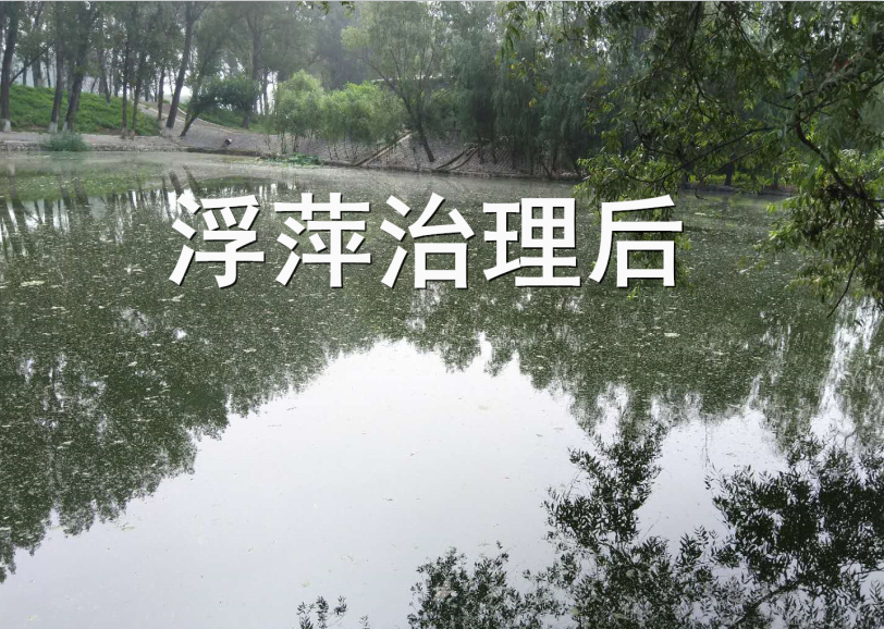 浮萍一潑靈無人機噴灑