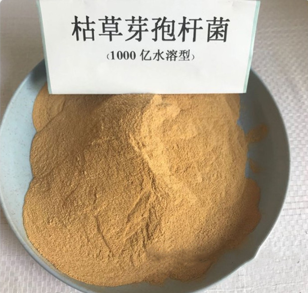 氨氮速降生物菌劑