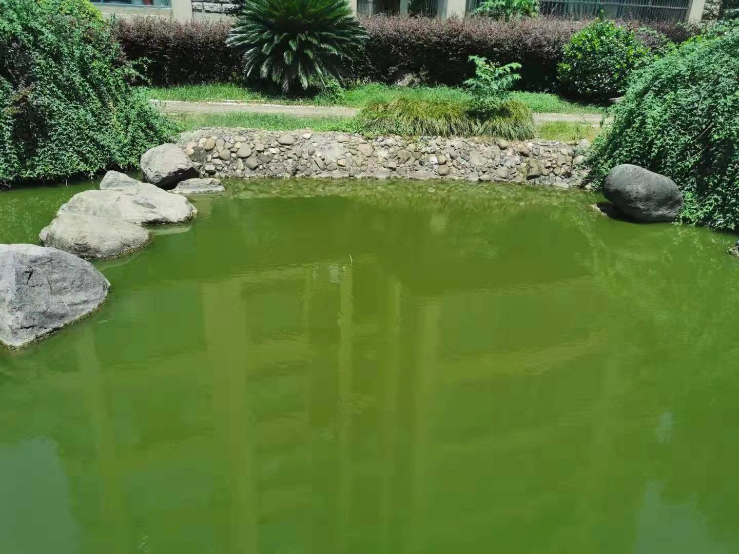 江蘇無錫藍藻治理現場施工圖