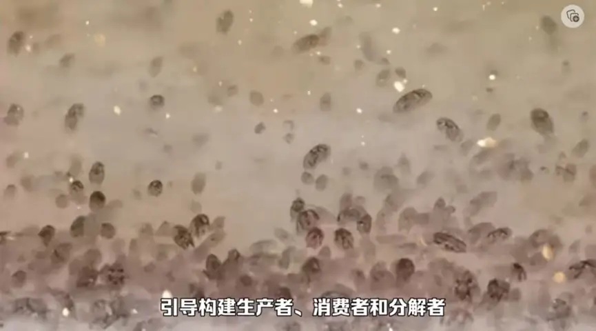 網文圖片1.webp.png