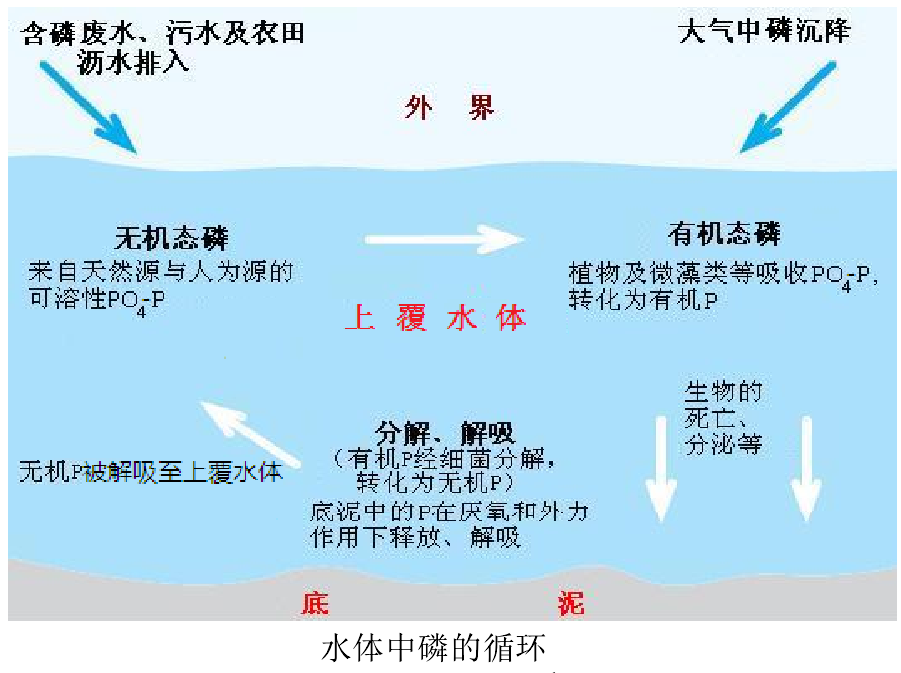 鎖磷劑使用圖片1-20250115.png