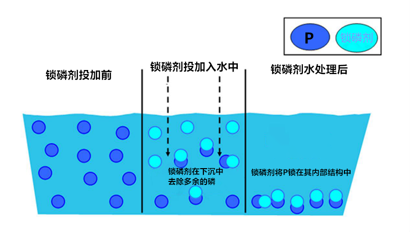 鎖磷劑使用圖片2-20250115.png