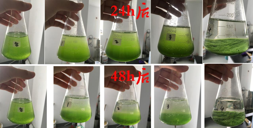 鎖磷劑使用圖片4-20250115.png
